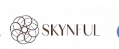 Skynful logo